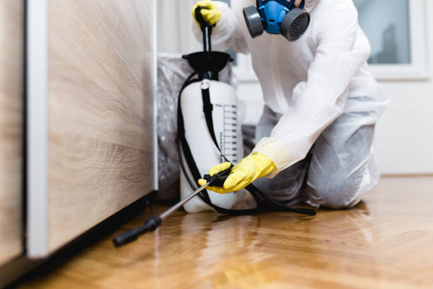 Best Bed Bug Extermination  in Moreauville, LA