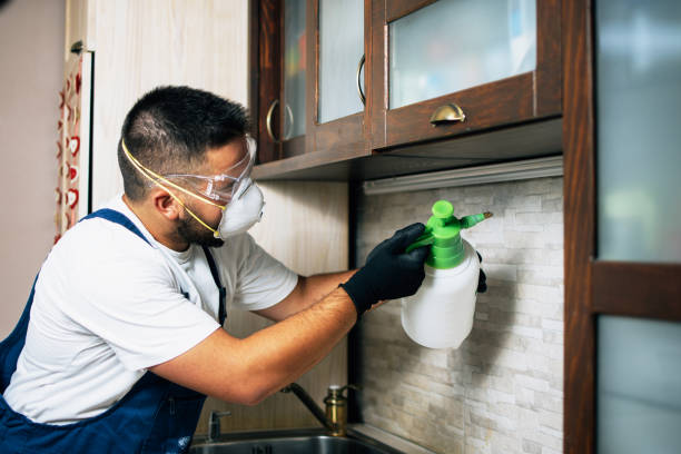 Best Best Pest Control Companies  in Moreauville, LA