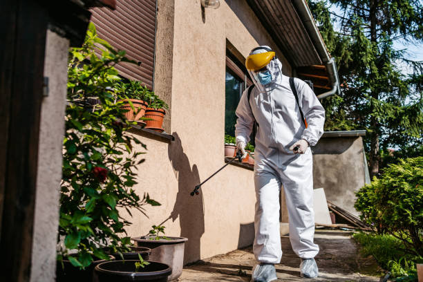 Best Residential Pest Control  in Moreauville, LA