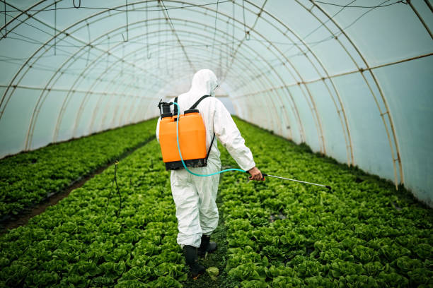 Best Emergency Pest Control  in Moreauville, LA