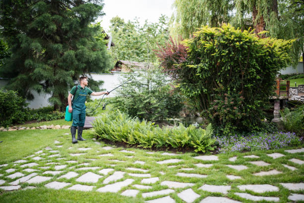 Best Exterminator Services  in Moreauville, LA
