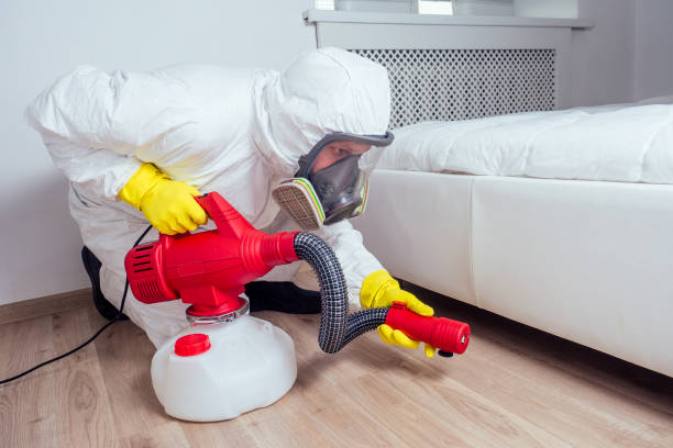 Best Best Pest Control Companies  in Moreauville, LA