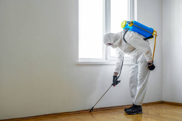 Best Best Pest Control Companies  in Moreauville, LA