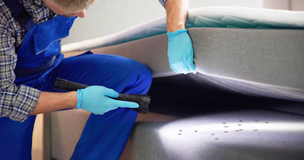 Best Local Pest Control Services  in Moreauville, LA