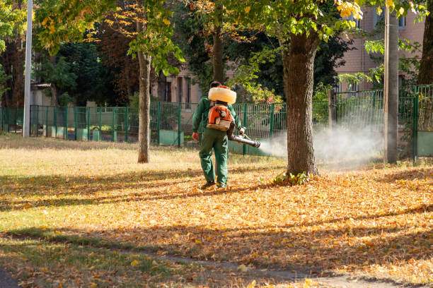 Best Bed Bug Extermination  in Moreauville, LA